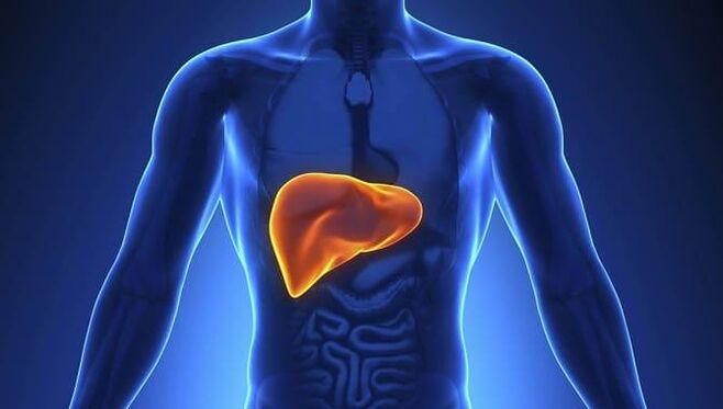 systemic antifungals place a greater burden on the liver